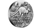 Монету «Кенгуру» отличает ультравысокий рельеф