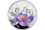 Монета «Крокус» пополнила серию «Красота цветов»