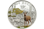 Монета «Косуля» обновила серию «Мир охоты»