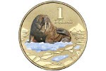 «Морж» - третья монета серии «Полярные животные»