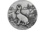Монету «Заяц-беляк» отчеканили в Швейцарии