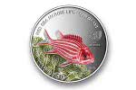 Монету «Рыба-солдат» изготовили в Израиле