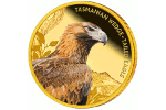 Орел клин-белохвост с острова Тасмания: 100 золотых долларов