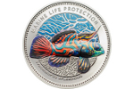 Рыбка мандаринка – на трех монетах Палау
