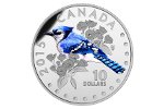 Монета «Голубая сойка» пополнила серию монет Канады