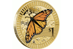 Бабочка-монарх - на второй монете серии «Животные-спортсмены»