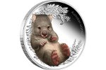 Вомбат прилег на австралийской монете 