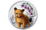 Медвежонок попал на серебряную монету