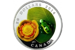 «Кувшинка и леопардовая лягушка» - очередная 3D-монета Канады
