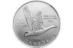 В акции «$20 за $20» участвует монета «Канадская казарка»