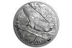 90% тиража монеты «Плывущий бобр» уже продано!