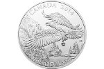 В акции «$100 за $100» участвует монета «Белоголовый орлан»
