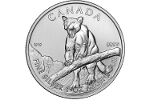 Серебряный кугуар на пяти канадских долларах