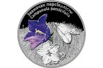 В серии «Цветы Беларуси» появилась монета «Колокольчик персиколистный»