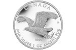 Коллекционное серебро - и вновь белоголовый орлан