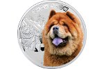 Чау-чау, собака с синим языком, попала на монету Ниуэ