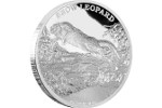 Серебряную монету «Снежный барс» отличает высокий рельеф