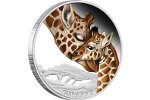 Монета Тувалу посвящена жирафам