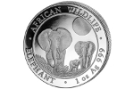 Слон изображен на монете Сомали