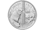Новая канадская монета «Бобр» весит 5 унций серебра