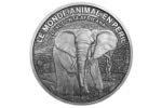 «Саванный слон» - самая большая серебряная монета (+ВИДЕО)