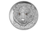 Монета «Медведь-призрак» - килограмм чистого серебра