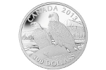 Белоголовый орлан представлен в платине (300 долларов)
