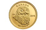 Золотую монету «Сова» изготовили в Канаде