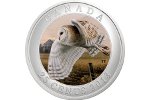 Монета «Сипуха» - пополнение серии «Птицы Канады»