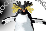 Хохлатый пингвин – герой семигранной монеты