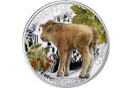 1 доллар – номинал монеты «Европейский зубр»