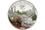 Серия монет «Мир охоты»: кабан присоединился к оленю