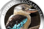 В Австралии изготовили «выставочную кукабару»