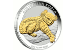 Сколько рублей стоят новые монеты «Австралийский коала»?