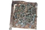 Монетный клад обнаружили в Подмосковье