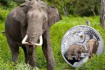 Монета «Азиатский слон» имеет вставку - кристалл Сваровски