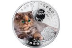 Нумизматы могут стать обладателями монеты «Персидская кошка»