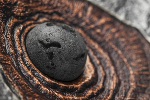 «Везувий» - изогнутая монета с вулканической вставкой
