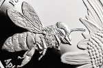 Монету «Медоносная пчела» отчеканили в Польше