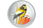 В Канаде появится еще одна монета с изображением птицы