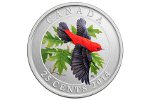 На монете Канады появилась красно-черная пиранга 