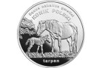 Польского коника изобразят и на серебряной монете