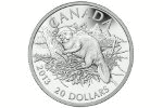 Бобр вновь попал на канадскую монету (20 долларов)