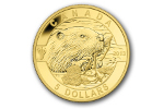 В копилке канадских монет – «золотой бобр» (5 долларов)