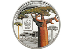 На серебряной монете показан баобаб Мадагаскара