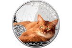 Монета из серебра пополнила серию «Друзья человека – кошки»