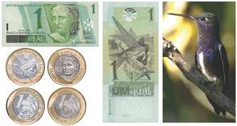 Валюты стран БРИКС: бразильский реал