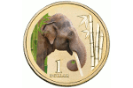 Слон – один из символов зоопарка Мельбурна (1 доллар)