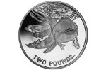 В Великобритании изготовили монеты «Очковая морская свинья»
