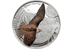 Нумизматам представили монету «Балобан»